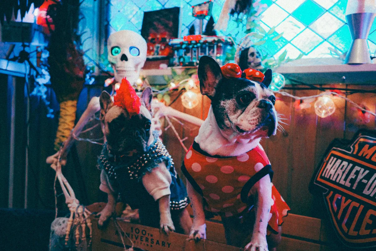 ハロウィンのRUMたち